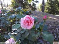IMG 20230718 165652-001 IB IB