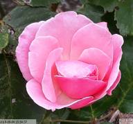 IMG 20230718 165652-IB IB