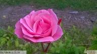 IMG 20230718 165709-IB IB