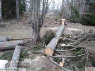 IMG 20230717 213421-IB IB