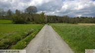 IMG 20230717 231132-IB IB