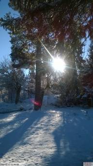 IMG 20230718 165501-IB IB