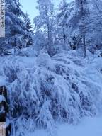 IMG 20230718 165509-IB IB