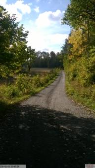 IMG 20230718 165718-IB IB