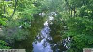 IMG 20230718 165731-IB IB